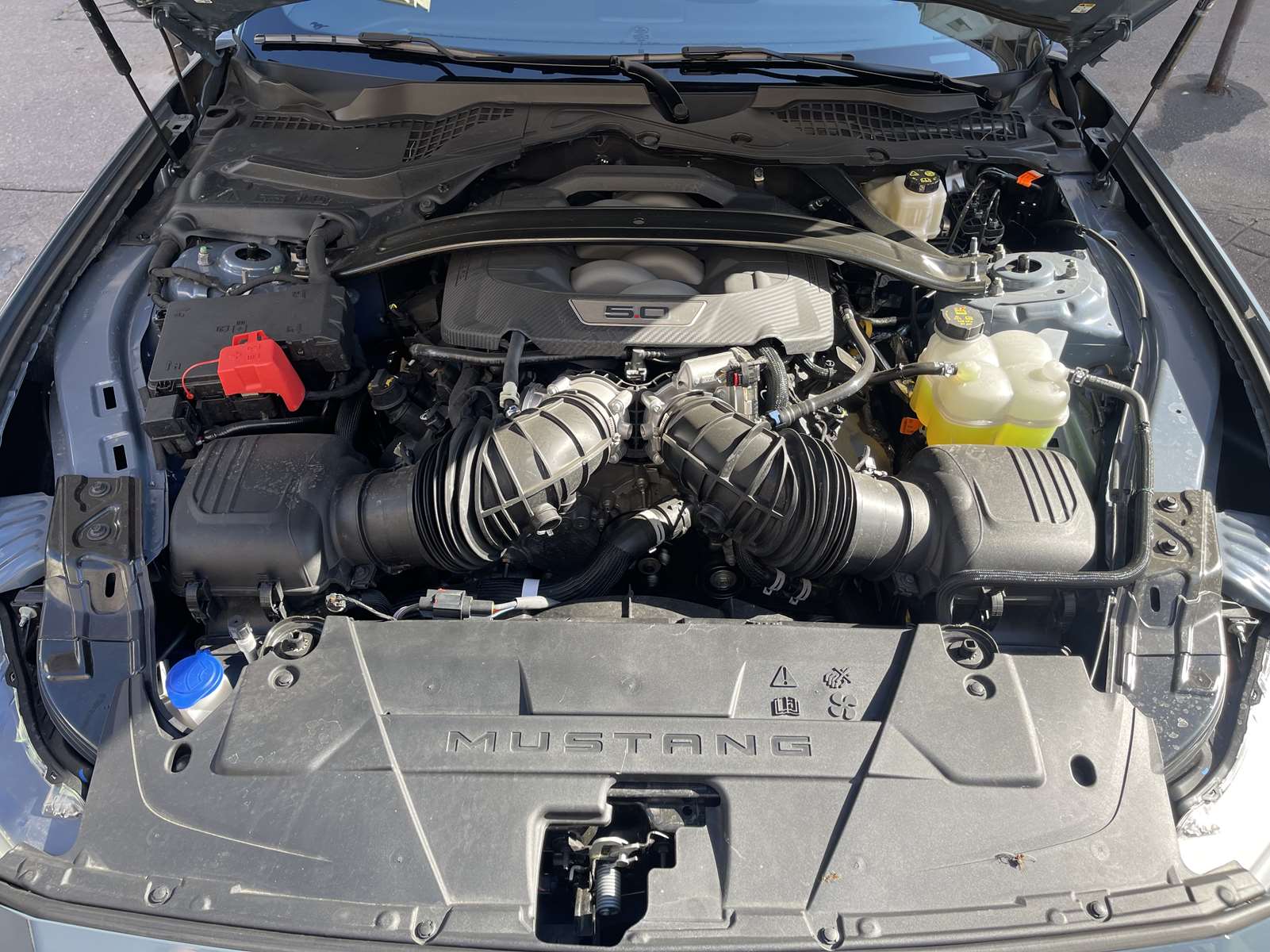 FORD MUSTANG FASTBACK 5.0 V8 46 GT 22