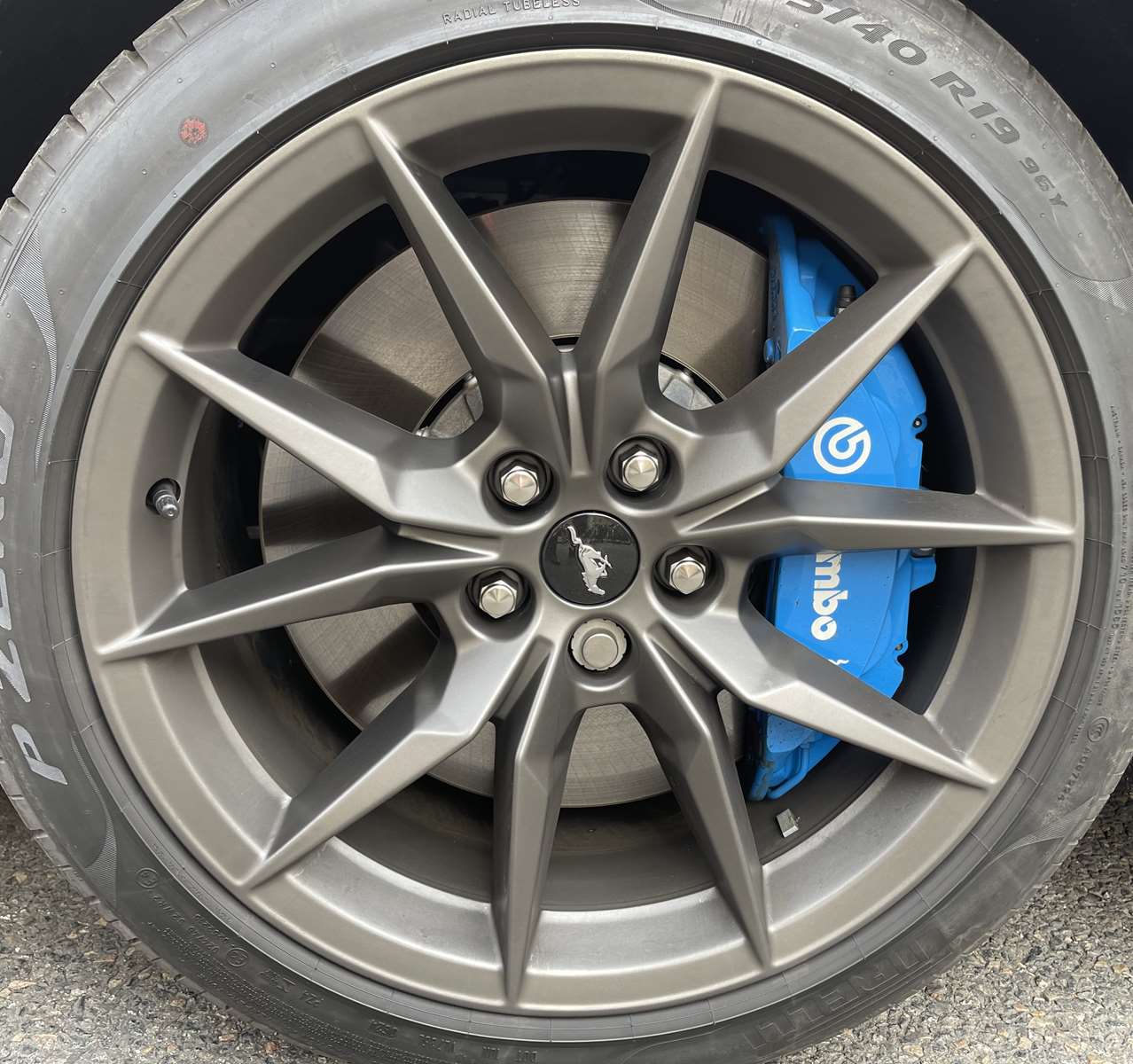 FORD MUSTANG VII FASTBACK V8 5.0 453 DARK HORSE BVM6 19