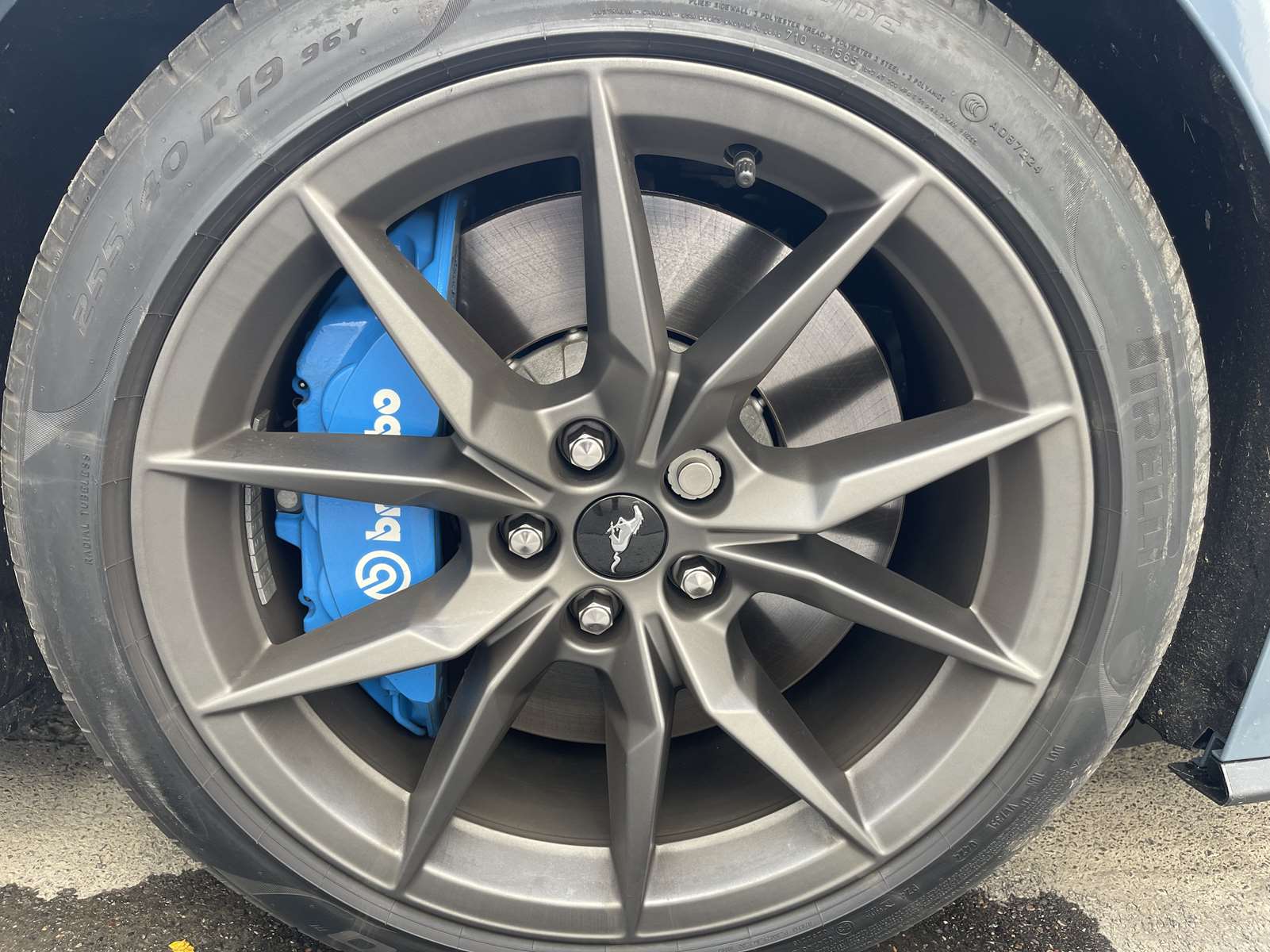 FORD MUSTANG VII FASTBACK V8 5.0 453 DARK HORSE BVM6 22