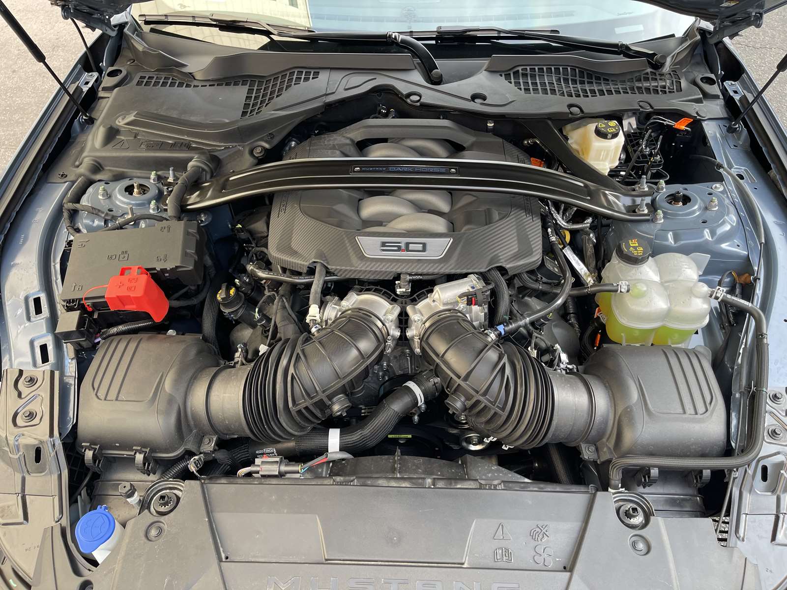 FORD MUSTANG VII FASTBACK V8 5.0 453 DARK HORSE BVM6 18