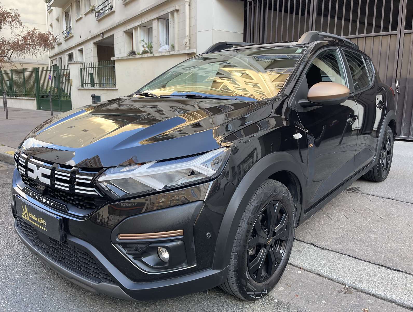 Dacia Sandero 1.0 ECO-G 100ch Stepway Extreme + 1ère main 6