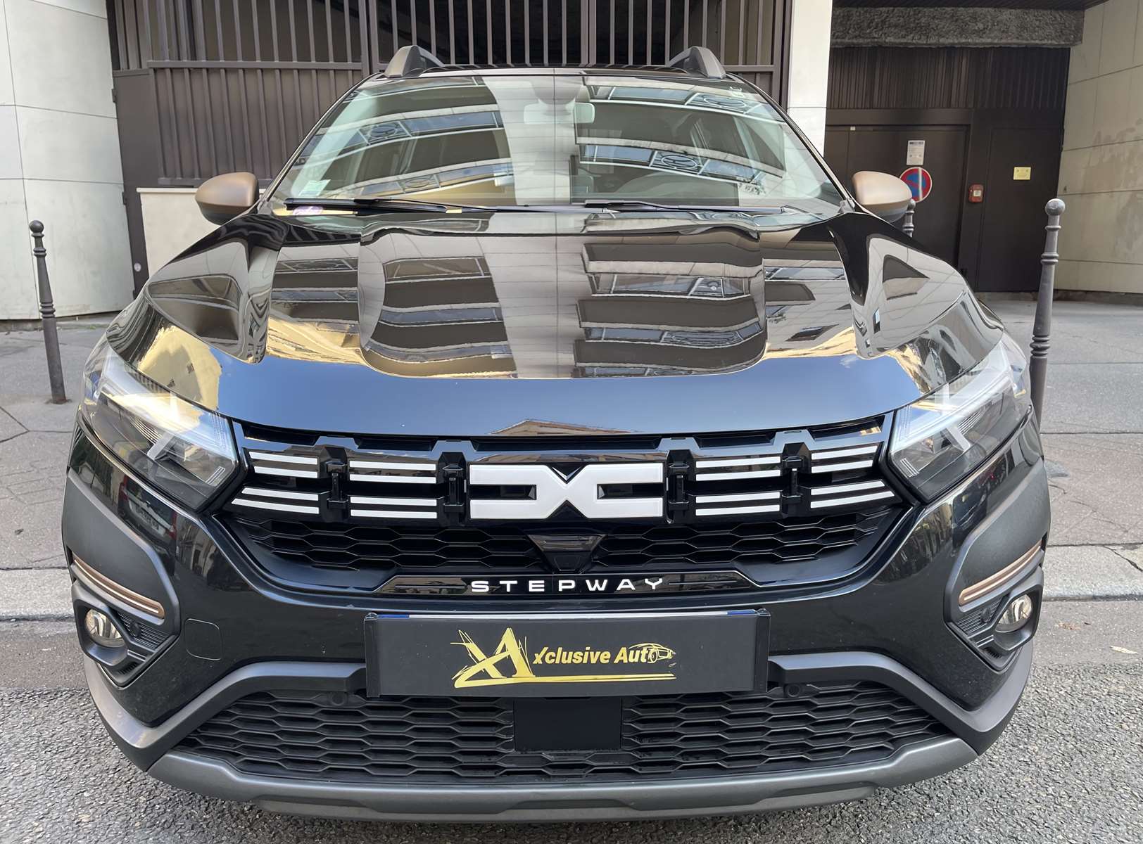 Dacia Sandero 1.0 ECO-G 100ch Stepway Extreme + 1ère main 7